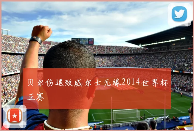 贝尔伤退致威尔士无缘2014世界杯正赛