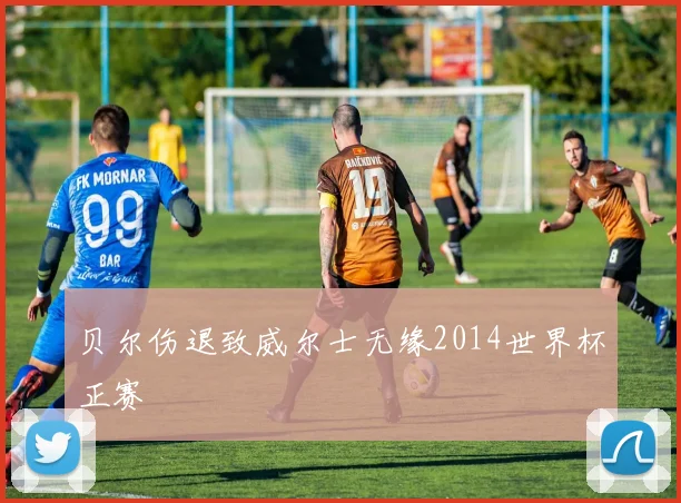 贝尔伤退致威尔士无缘2014世界杯正赛