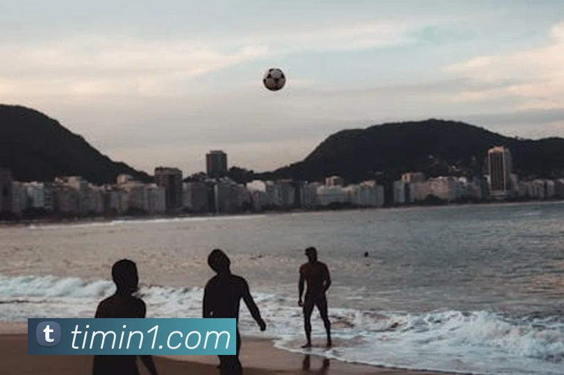 星空体育首页官网服务体系